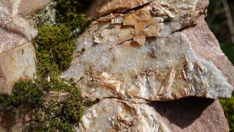 Schätze am Wegrand bei den beiden GeoTouren, Bild: © Dr. Andreas Megerle