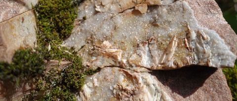 Schätze am Wegrand bei den beiden GeoTouren, Bild: © Dr. Andreas Megerle
