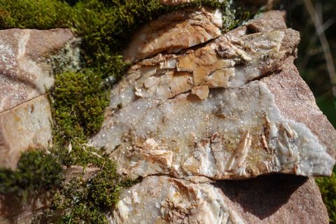 Schätze am Wegrand bei den beiden GeoTouren, Bild: © Dr. Andreas Megerle