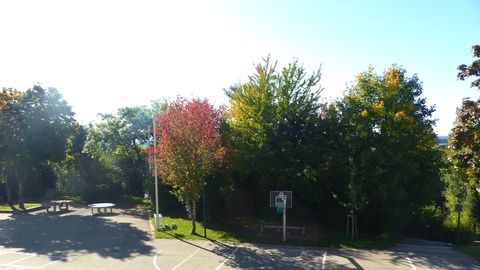 Blick auf den Pausenhof