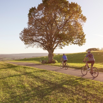 Radfahrer auf dem Feldweg bei Sonnenuntergang